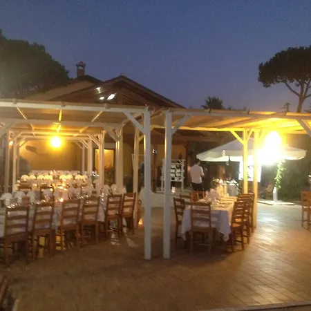 Ali E Radici